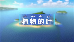 斑马百科 4. évad Ep.4 4. epizód
