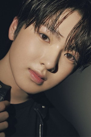 사쿠야 profil kép
