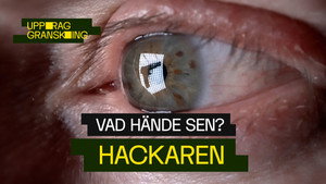 Uppdrag granskning sommar 2024. évad Ep.8 8. epizód