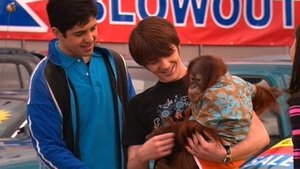 Drake és Josh 4. évad Ep.9 9. epizód
