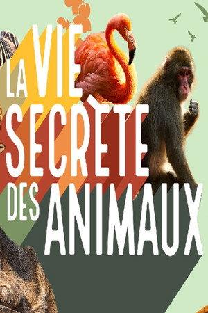 La vie secrète des animaux poszter