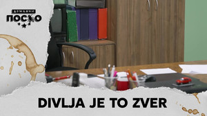 Државни посао 13. évad Ep.171 171. epizód