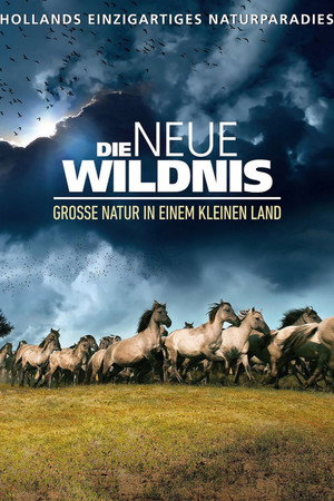 De Nieuwe Wildernis poszter