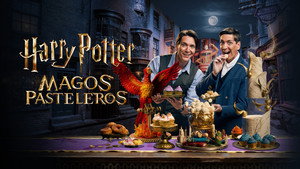 Harry Potter: Sütivarázslók kép