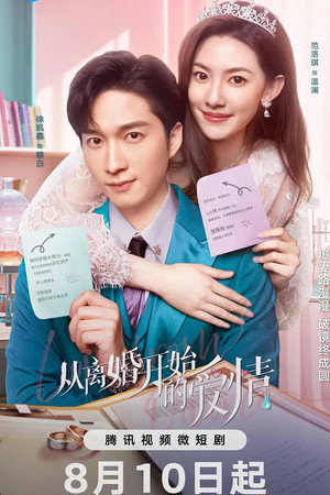 从离婚开始的爱情 poszter