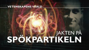Vetenskapens värld 48. évad Ep.4 4. epizód