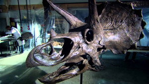 Il pianeta dei dinosauri 1. évad Ep.1 1. epizód