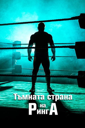 Dark Side of the Ring poszter