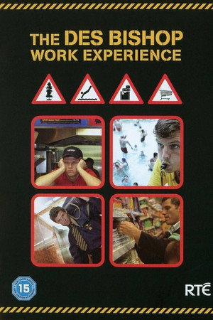 The Des Bishop Work Experience poszter