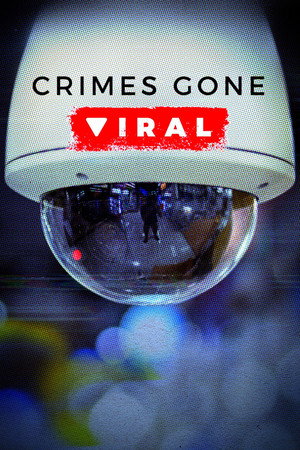 Crimes Gone Viral poszter