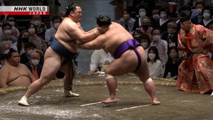 GRAND SUMO Highlights 11. évad Ep.7 7. epizód