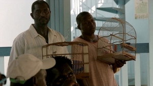 Guyane 1. évad Ep.7 7. epizód