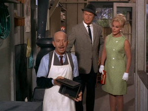 Green Acres 3. évad Ep.17 17. epizód