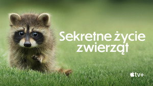 Az állatok titkos élete kép