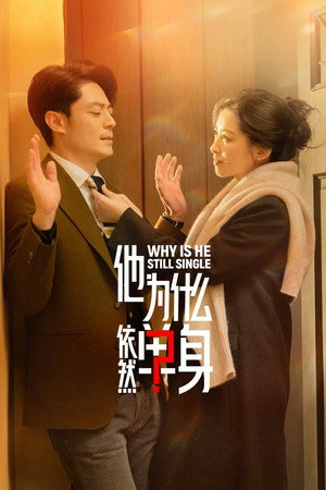 他为什么依然单身 poszter