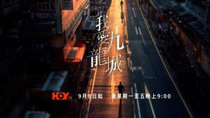 我愛九龍城 kép