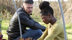 Queen Sugar 1. évad Ep.2 2. epizód