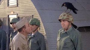 Gomer Pyle, U.S.M.C. 3. évad Ep.28 28. epizód