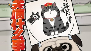 关喵什么事 1. évad Ep.12 12. epizód