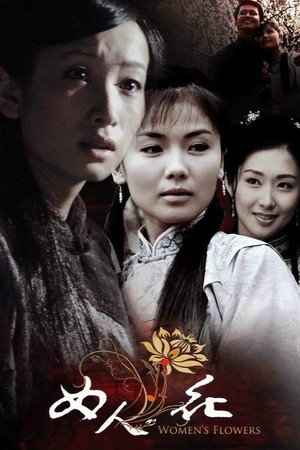 女人花 poszter