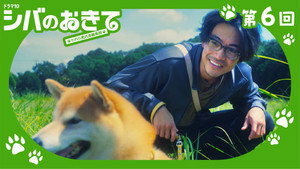 シバのおきて～われら犬バカ編集部～ 1. évad Ep.6 6. epizód