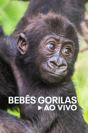 Gorillák élőben 1. évad (2023-09-07) poszter
