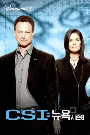 CSI: New York-i helyszínelők poszter