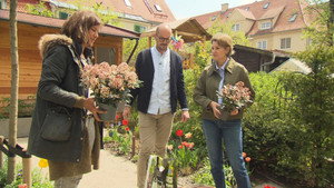 Duell der Gartenprofis Speciális epizódok Ep.13 13. epizód