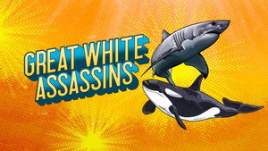 Shark Week 38. évad Ep.3 3. epizód