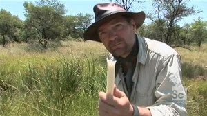 Survivorman 2. évad Ep.4 4. epizód