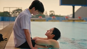 ใบไม้ผลิปีที่ 17 kép