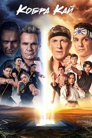 Cobra Kai poszter