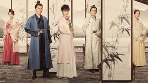 知否知否应是绿肥红瘦DVD版 kép