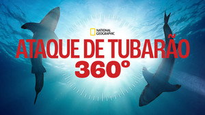 Shark Attack 360 kép