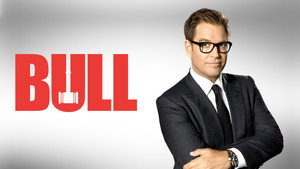 Bull kép