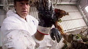 Dirty Jobs 2. évad Ep.9 9. epizód
