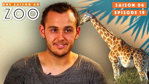 Une saison au zoo 6. évad Ep.19 19. epizód