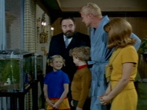 Family Affair 2. évad Ep.19 19. epizód