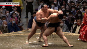 GRAND SUMO Highlights 13. évad Ep.12 12. epizód