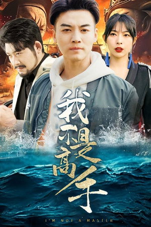 我不是高手 poszter
