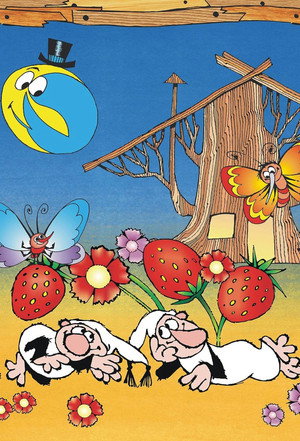 Pohádky z mechu a kapradí poszter