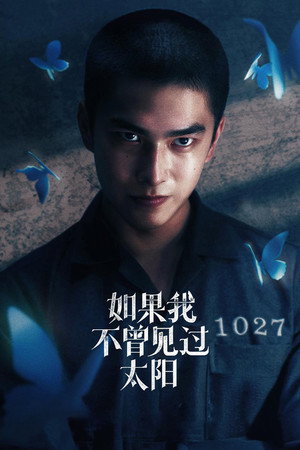 如果我不曾見過太陽 poszter