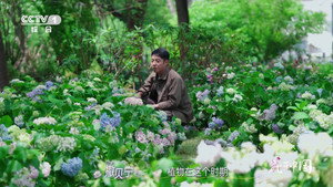 花开中国 1. évad Ep.1 1. epizód