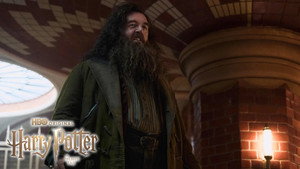 Harry Potter kép