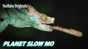 Planet Slow Mo 1. évad Ep.17 17. epizód