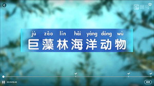 斑马百科 5. évad Ep.5 5. epizód