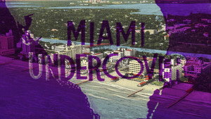 Miami Undercover kép