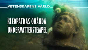 Vetenskapens värld 51. évad Ep.32 32. epizód