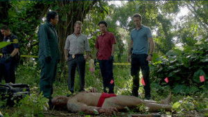 Hawaii Five-0 2. évad Ep.17 A hagyományőrzők
