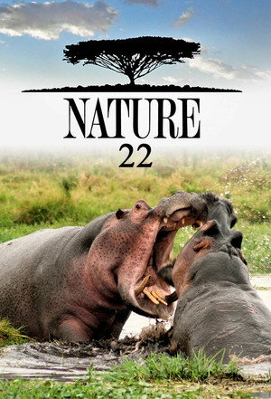 Nature 22. évad (2003-10-19) poszter
